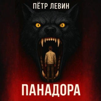 Обложка книги «Панадора»
