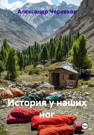 Обложка книги «История у наших ног»