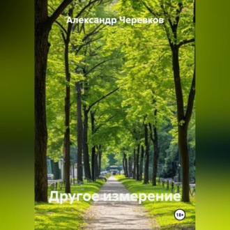 Обложка книги «Другое измерение»