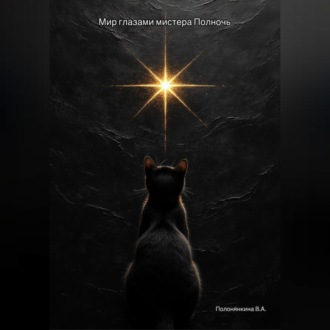 Обложка книги «Мир глазами Мистера Полночь»