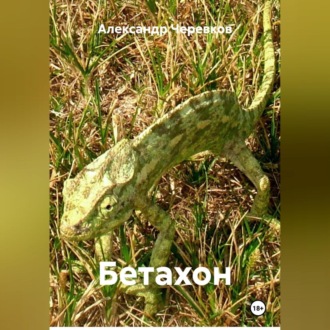 Обложка книги «Бетахон-Security-Безопасность»
