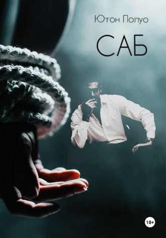 Обложка книги «САБ»