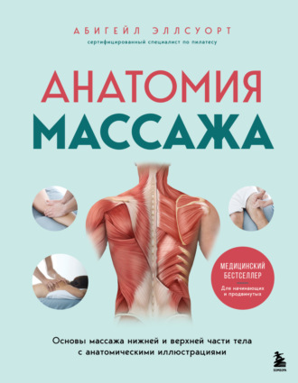 Обложка книги «Анатомия массажа. Основы массажа нижней и верхней части тела с анатомическими иллюстрациями»