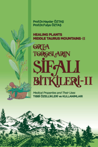 Обложка книги «ORTA TOROSLARIN ŞİFALI BİTKİLERİ – II»