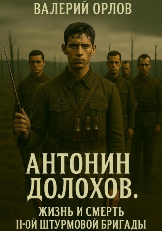 Обложка книги «Антонин Долохов. Жизнь и смерть второй штурмовой бригады»