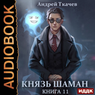 Обложка книги «Князь шаман. Книга 11»