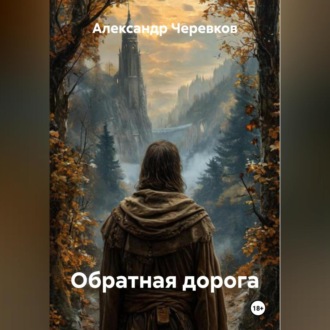Обложка книги «Обратная дорога»