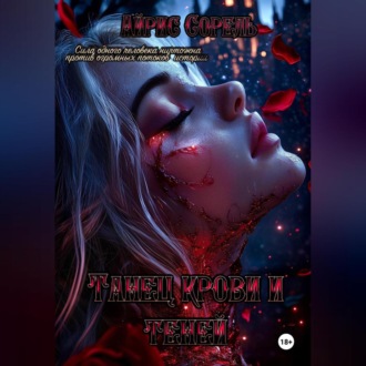 Обложка книги «Танец крови и теней»