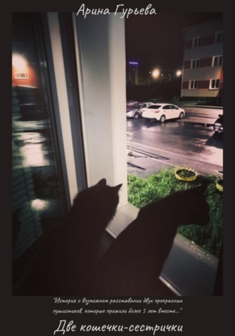 Две кошечки-сестрички. Арина Гурьева