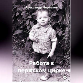 Обложка книги «Работа в пермском цирке»