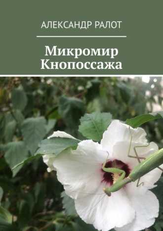 Обложка книги «Микромир Кнопоссажа»