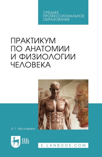 Практикум по анатомии и физиологии человека. Учебное пособие для СПО. 4-е издание, стереотипное. И. Г. Мустафина