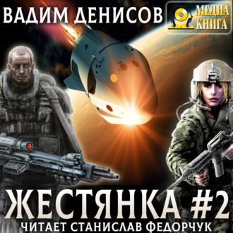 Обложка книги «Жестянка-2»
