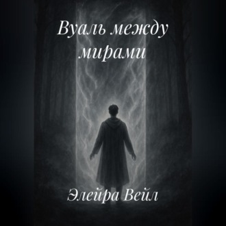 Обложка книги «Вуаль между мирами»