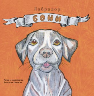 Обложка книги «Лабрадор Бони»