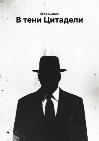 Обложка книги «В тени Цитадели»