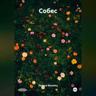 Обложка книги «Собес»