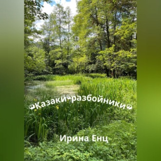 Обложка книги «Казаки-разбойники»
