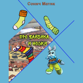 Обложка книги «Про Зайчика и носки»