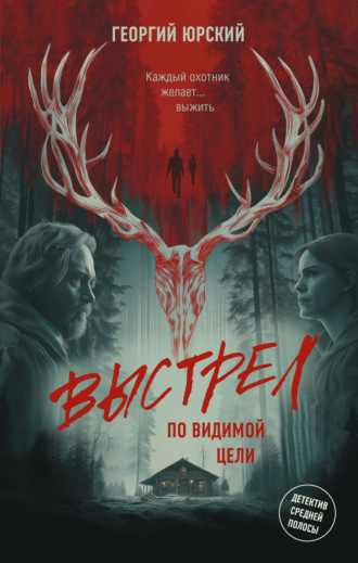 Обложка книги «Выстрел по видимой цели»