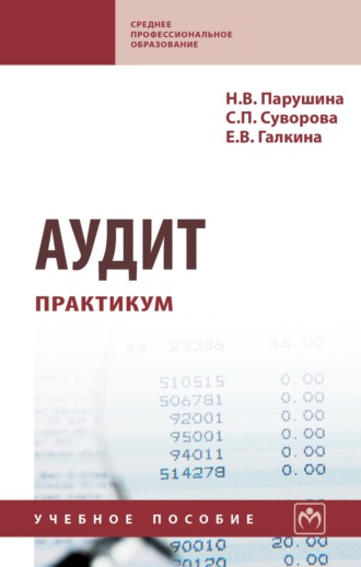 Аудит: практикум. Наталья Валерьевна Парушина