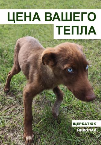 Обложка книги «Цена вашего тепла»