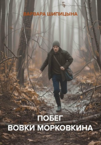 Обложка книги «Побег Вовки Морковкина»