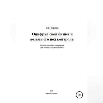 Обложка книги «Оцифруй свой бизнес и возьми его под контроль»