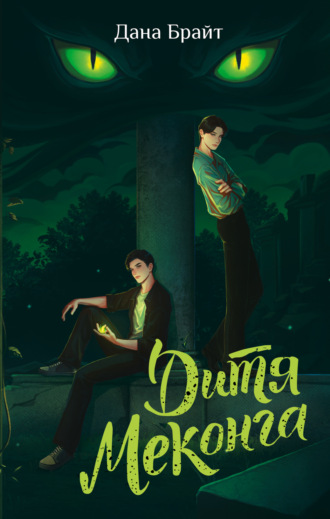 Обложка книги «Дитя Меконга»