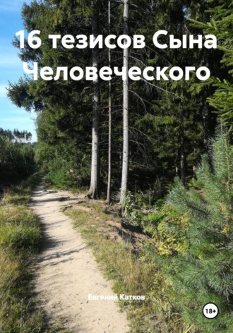Обложка книги «16 тезисов Сына Человеческого»