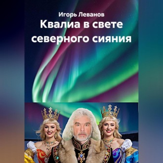 Обложка книги «Квалиа в свете северного сияния»