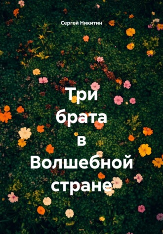 Обложка книги «Три брата в Волшебной стране»
