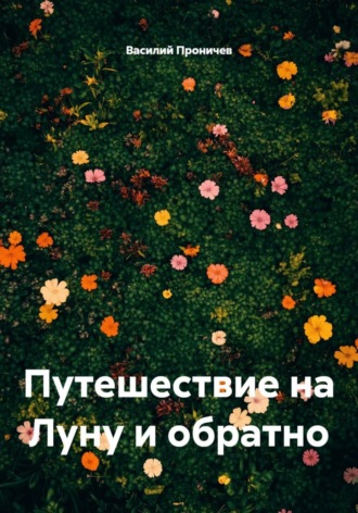 Василий Анатольевич Проничев. Путешествие на Луну и обратно