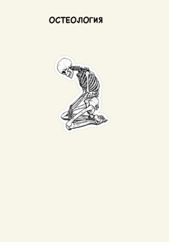 Остеология. 