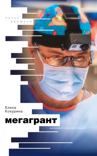 Обложка книги «Мегагрант»