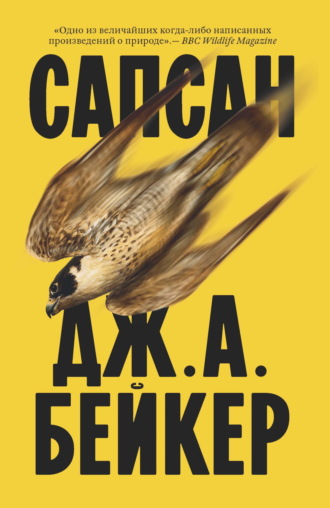 Сапсан. Джон Алек Бейкер