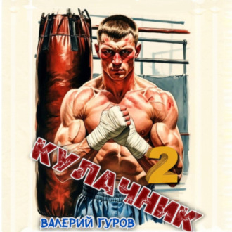 Обложка книги «Кулачник 2»
