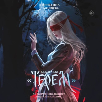 Обложка книги «Академия «Терем»»
