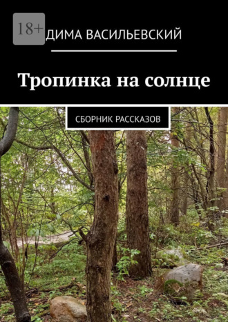 Обложка книги «Тропинка на солнце. Сборник рассказов»