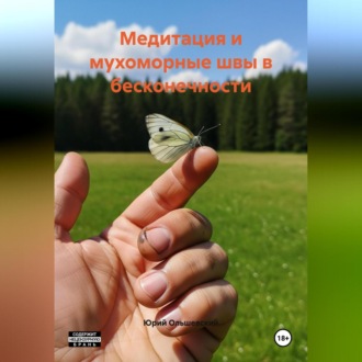 Обложка книги «Медитация и мухоморные швы в бесконечности»
