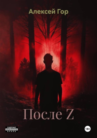Обложка книги «После Z»