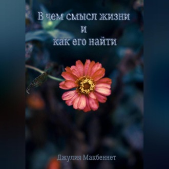 Обложка книги «В чем смысл жизни и как его найти»