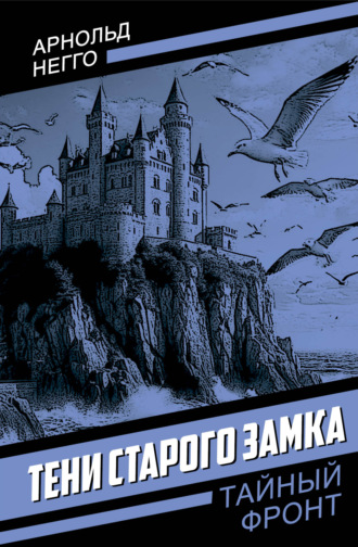 Обложка книги «Тени старого замка»
