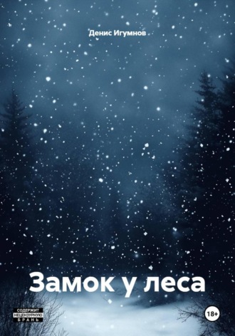 Обложка книги «Замок у леса»
