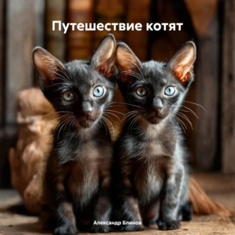 Обложка книги «Путешествие котят»