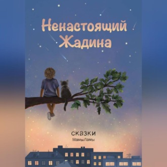 Обложка книги «Ненастоящий жадина»