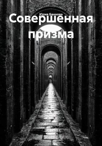 Обложка книги «Совершенная призма»