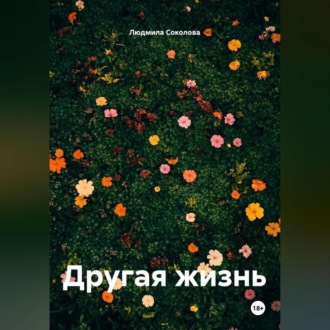 Обложка книги «Другая жизнь»