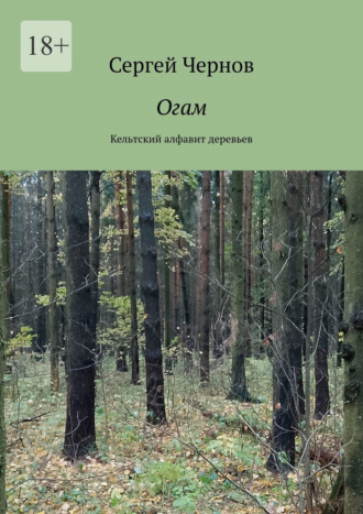 Обложка книги «Огам. Кельтский алфавит деревьев»