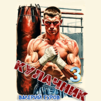 Обложка книги «Кулачник 3»